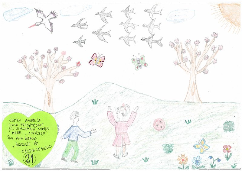 21_Andreea COSTIN_Lucacesti.jpg